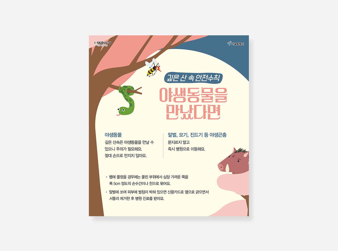 캠핑안전 행동요령 카드뉴스